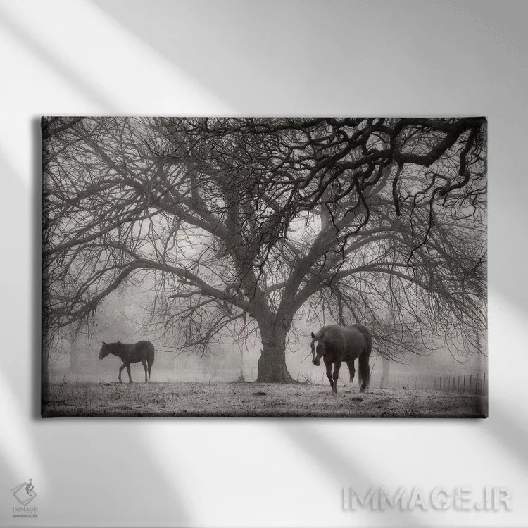 تابلو آرامش صبحگاهی ۲ (سیاه و سفید) اثر دبرا ون سوارینجن - نمای روبهرو روی دیوار