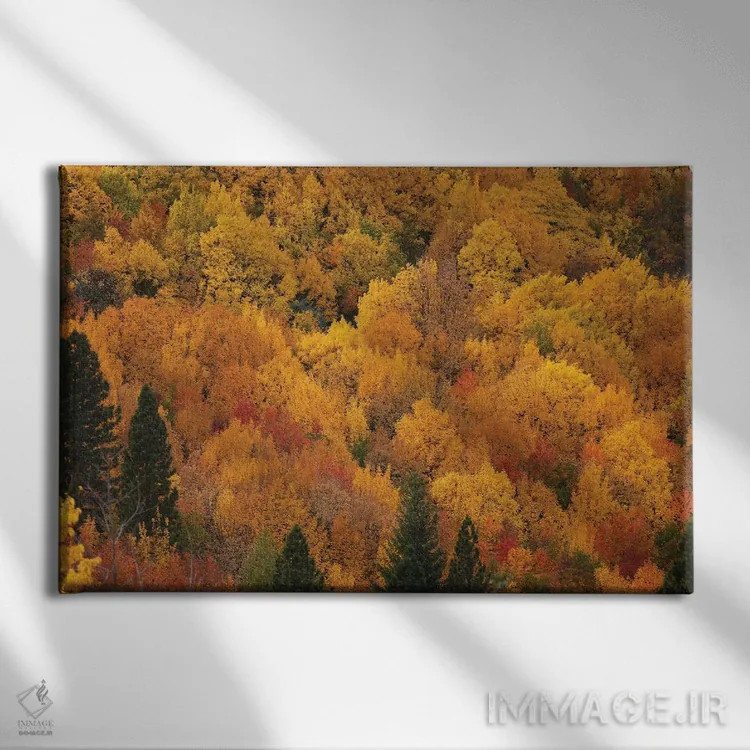 تابلو رنگهای پاییزی، اروتاون، نزدیک کویینزتاون، اوتاگو، جزیره جنوبی، نیوزیلند اثر دیوید وال - نمای روبهرو روی دیوار