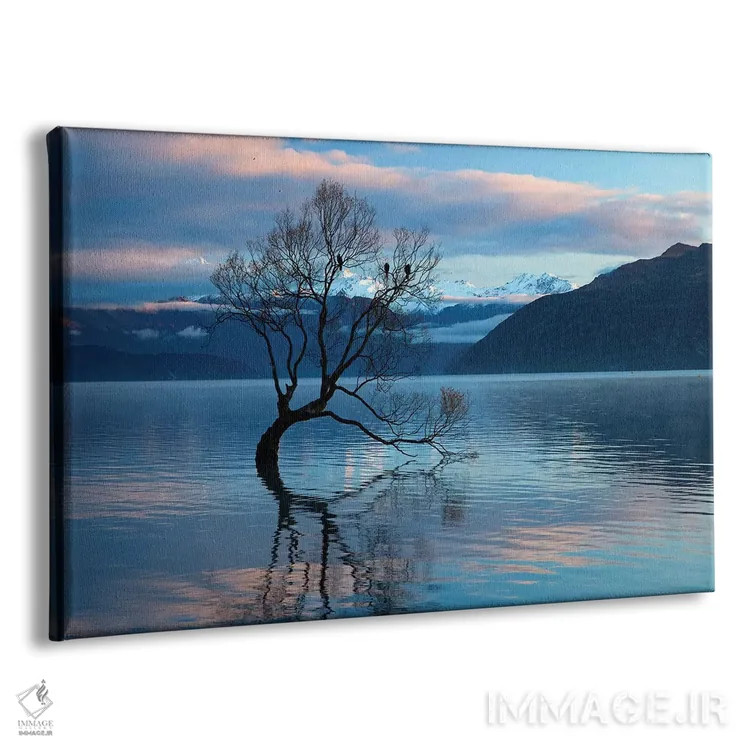 تابلو آن درخت واناکا در انعکاس آب دریاچه واناکا، اوتاگو، جزیره جنوبی، نیوزیلند اثر دیوید وال - نمای پرسپکتیو محصول