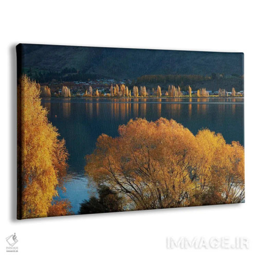 تابلو درختان بید و صنوبر در پاییز، دریاچه واناکا، اوتاگو، جزیره جنوبی، نیوزیلند اثر دیوید وال - نمای پرسپکتیو محصول