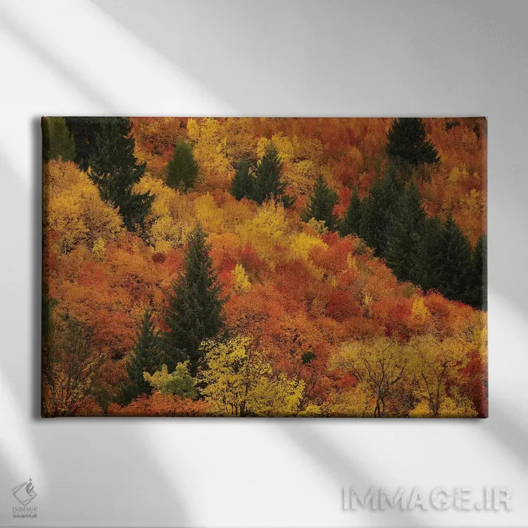 تابلو درختان پاییزی، اروتاون، نزدیک کویینزتاون، اوتاگو، جزیره جنوبی، نیوزیلند اثر دیوید وال - نمای روبهرو روی دیوار