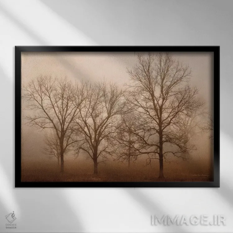 تابلو آرامش صبحگاهی ۳ اثر دبرا ون سوارینجن - نمای قابدار مشکی