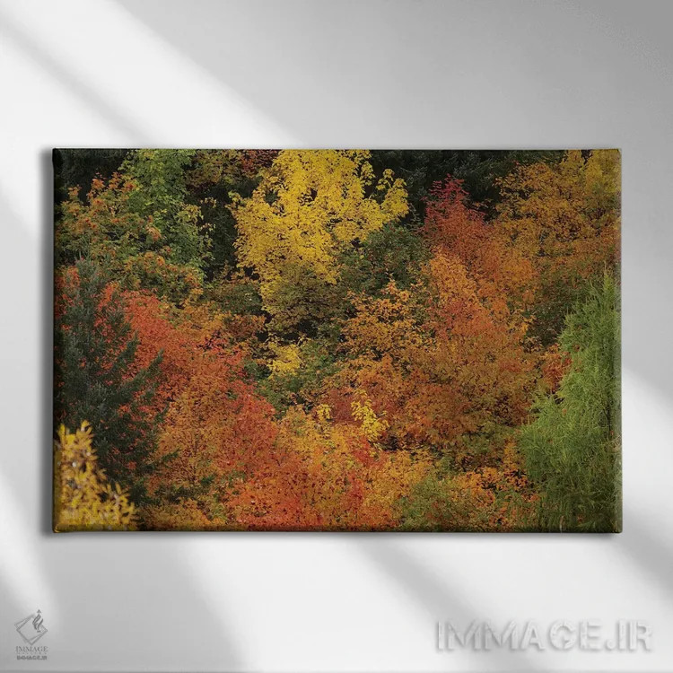 تابلو درختان پاییزی، اروتاون، نزدیک کویینزتاون، اوتاگو، جزیره جنوبی، نیوزیلند اثر دیوید وال - نمای روبهرو روی دیوار