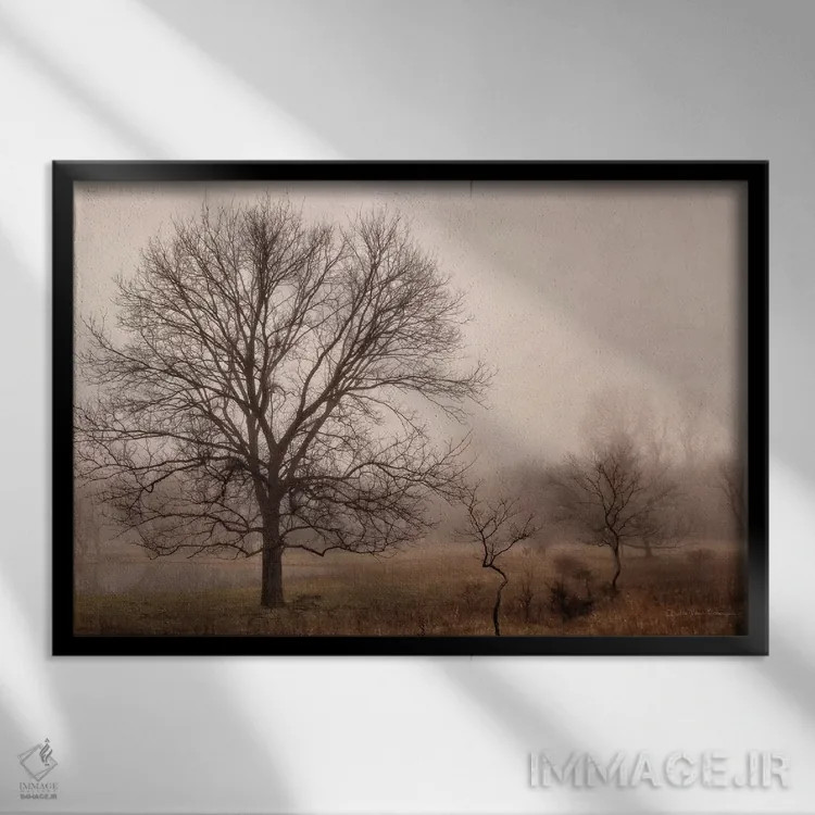 تابلو آرامش صبحگاهی ۴ اثر دبرا ون سوارینجن - نمای قابدار مشکی