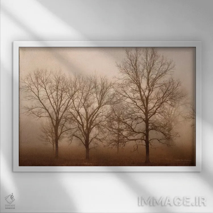 تابلو آرامش صبحگاهی ۳ اثر دبرا ون سوارینجن - نمای قابدار سفید