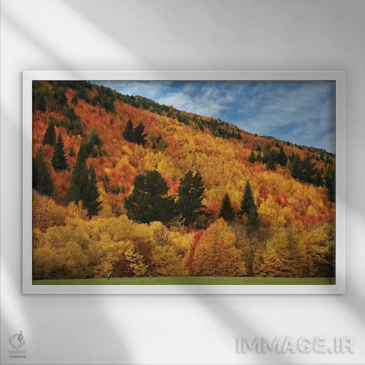 تابلو درختان پاییزی و ویلکاکس گرین، اروتاون، نزدیک کویینزتاون، اوتاگو، جزیره جنوبی، نیوزیلند اثر دیوید وال - نمای قابدار سفید