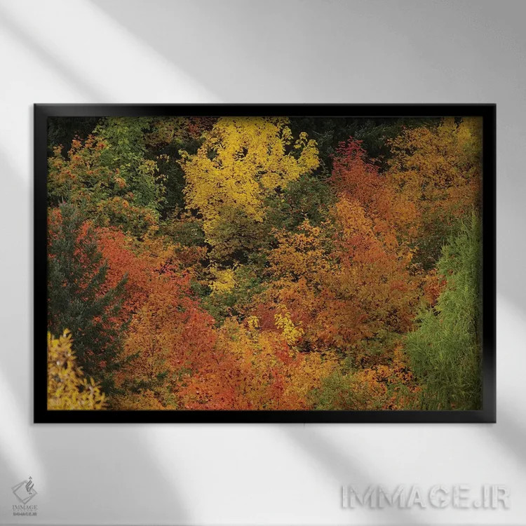 تابلو درختان پاییزی، اروتاون، نزدیک کویینزتاون، اوتاگو، جزیره جنوبی، نیوزیلند اثر دیوید وال - نمای قابدار مشکی