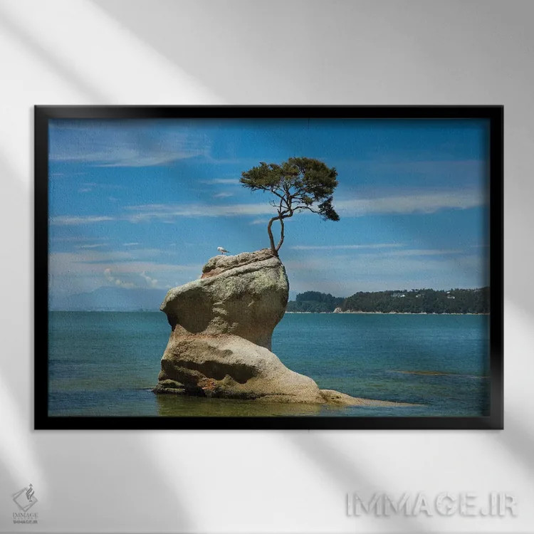 تابلو درخت روی صخره، خلیج تینلاین، پارک ملی ابل تاسمان، منطقه نلسون، جزیره جنوبی، نیوزیلند اثر دیوید وال - نمای قابدار مشکی
