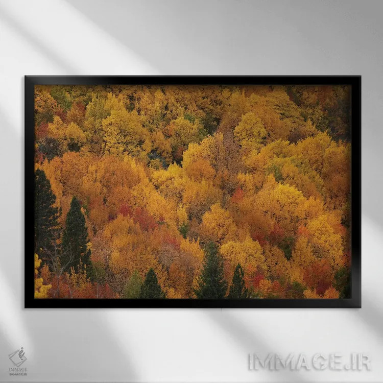 تابلو رنگهای پاییزی، اروتاون، نزدیک کویینزتاون، اوتاگو، جزیره جنوبی، نیوزیلند اثر دیوید وال - نمای قابدار مشکی