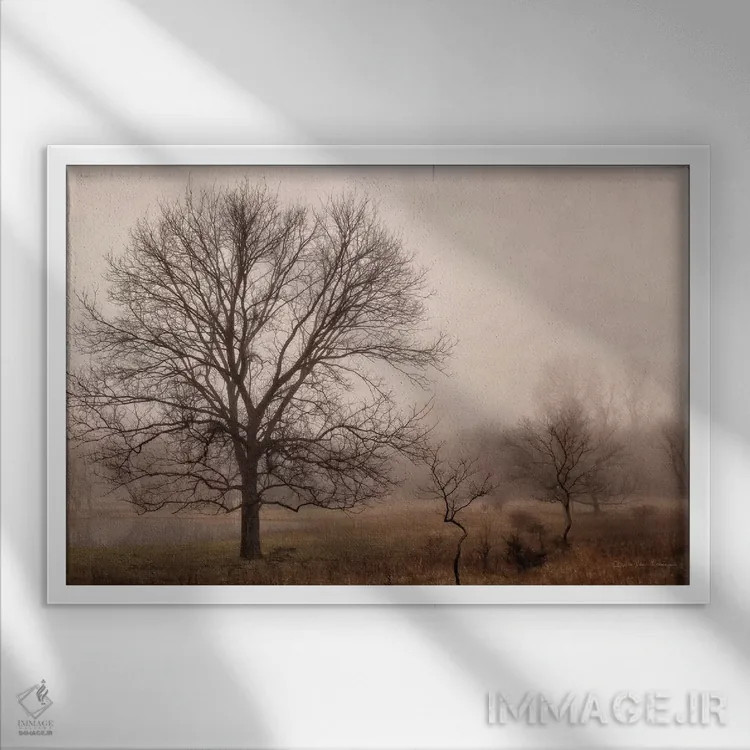 تابلو آرامش صبحگاهی ۴ اثر دبرا ون سوارینجن - نمای قابدار سفید