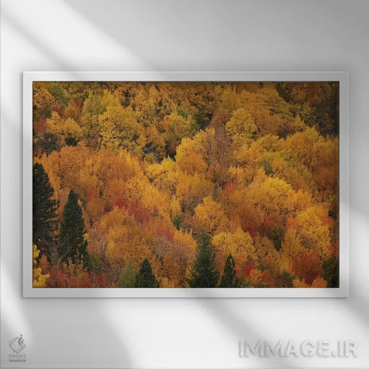 تابلو رنگهای پاییزی، اروتاون، نزدیک کویینزتاون، اوتاگو، جزیره جنوبی، نیوزیلند اثر دیوید وال - نمای قابدار سفید