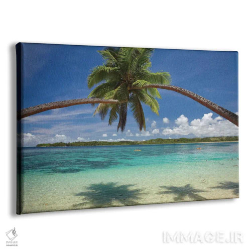 تابلو درختان نخل در آغوش یکدیگر بر فراز بندر کووو، ساحل مرجانی، ویتی لِوو، فیجی اثر دیوید وال - نمای پرسپکتیو محصول