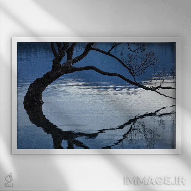 تابلو آن درخت واناکا در انعکاس آب دریاچه واناکا، اوتاگو، جزیره جنوبی، نیوزیلند اثر دیوید وال - نمای قابدار سفید
