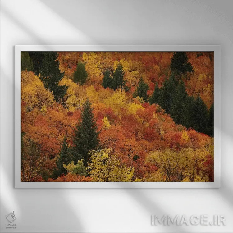 تابلو درختان پاییزی، اروتاون، نزدیک کویینزتاون، اوتاگو، جزیره جنوبی، نیوزیلند اثر دیوید وال - نمای قابدار سفید