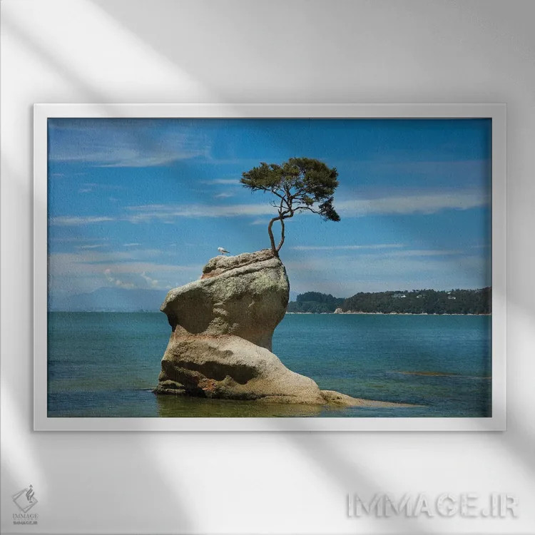 تابلو درخت روی صخره، خلیج تینلاین، پارک ملی ابل تاسمان، منطقه نلسون، جزیره جنوبی، نیوزیلند اثر دیوید وال - نمای قابدار سفید