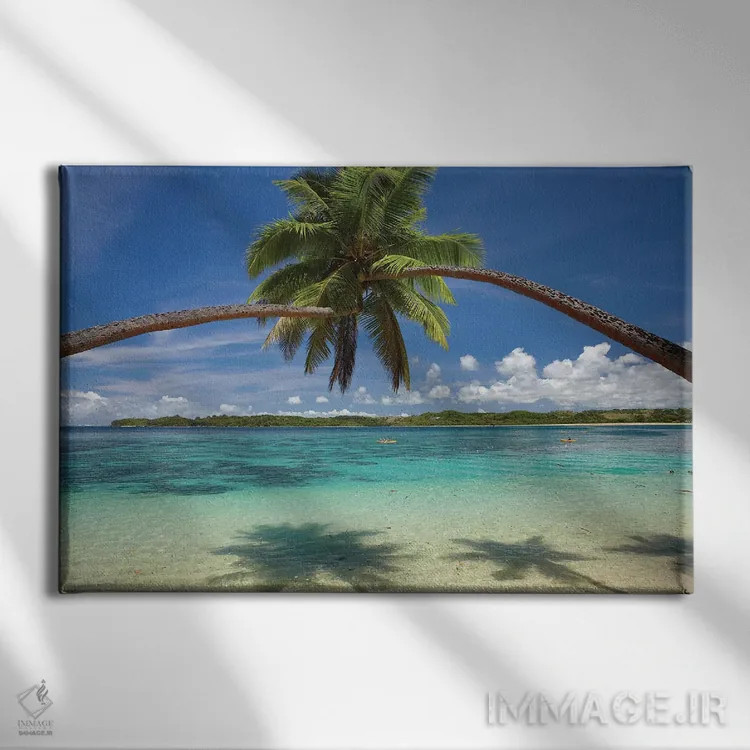 تابلو درختان نخل در آغوش یکدیگر بر فراز بندر کووو، ساحل مرجانی، ویتی لِوو، فیجی اثر دیوید وال - نمای روبهرو روی دیوار