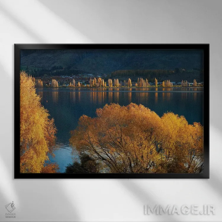 تابلو درختان بید و صنوبر در پاییز، دریاچه واناکا، اوتاگو، جزیره جنوبی، نیوزیلند اثر دیوید وال - نمای قابدار مشکی