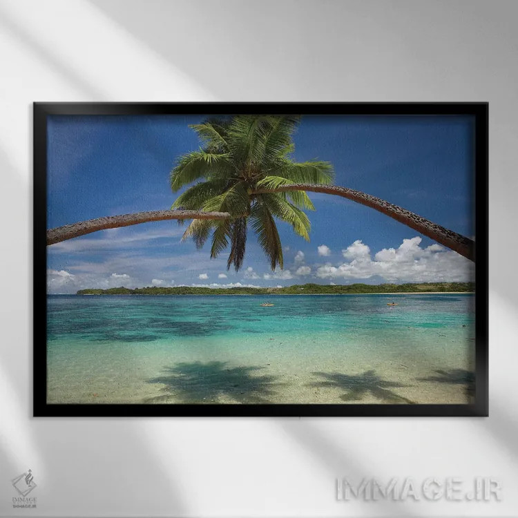 تابلو درختان نخل در آغوش یکدیگر بر فراز بندر کووو، ساحل مرجانی، ویتی لِوو، فیجی اثر دیوید وال - نمای قابدار مشکی