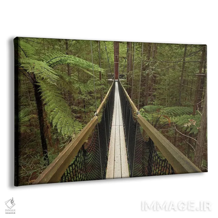 تابلو پیادهروی در جنگل ردوودز (واکارواروا)، روتوروا، جزیره شمالی، نیوزیلند اثر دیوید وال - نمای پرسپکتیو محصول