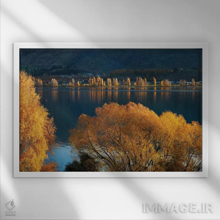 تابلو درختان بید و صنوبر در پاییز، دریاچه واناکا، اوتاگو، جزیره جنوبی، نیوزیلند اثر دیوید وال - نمای قابدار سفید