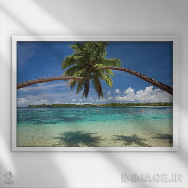 تابلو درختان نخل در آغوش یکدیگر بر فراز بندر کووو، ساحل مرجانی، ویتی لِوو، فیجی اثر دیوید وال - نمای قابدار سفید