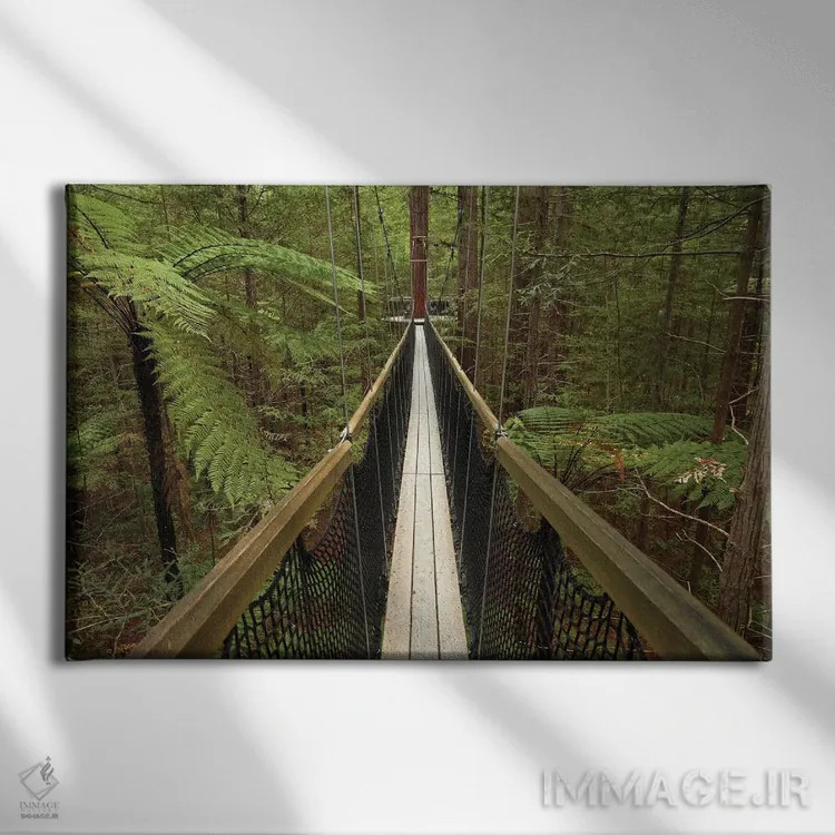 تابلو پیادهروی در جنگل ردوودز (واکارواروا)، روتوروا، جزیره شمالی، نیوزیلند اثر دیوید وال - نمای روبهرو روی دیوار