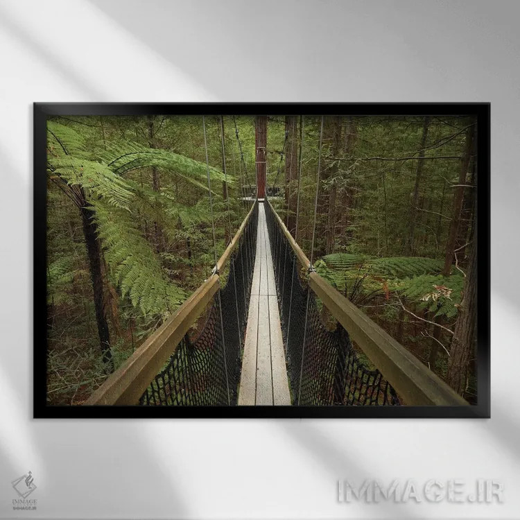 تابلو پیادهروی در جنگل ردوودز (واکارواروا)، روتوروا، جزیره شمالی، نیوزیلند اثر دیوید وال - نمای قابدار مشکی