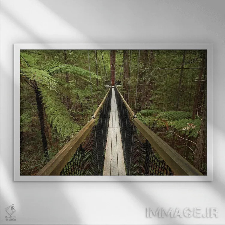 تابلو پیادهروی در جنگل ردوودز (واکارواروا)، روتوروا، جزیره شمالی، نیوزیلند اثر دیوید وال - نمای قابدار سفید