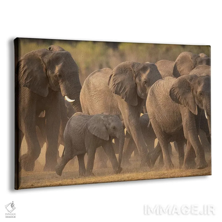 تابلو خانواده فیلها اثر دیوید وولَن - نمای پرسپکتیو محصول