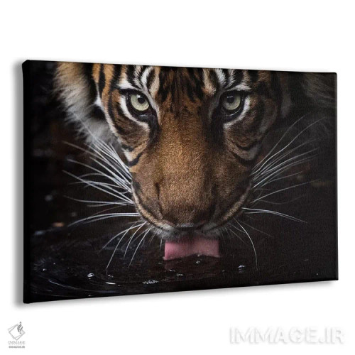 تابلو نوشیدن اثر دیوید وولَن - نمای پرسپکتیو محصول