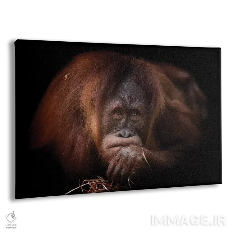 تابلو اخمو اثر دیوید وولَن - نمای پرسپکتیو محصول