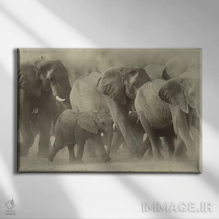 تابلو خانواده فیلها به رنگ سپیا اثر دیوید وولَن - نمای روبهرو روی دیوار