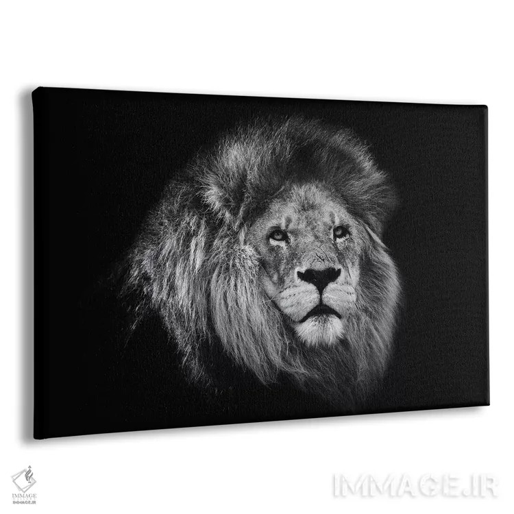 تابلو شیر آفریقایی در سیاه و سفید اثر دیوید وولَن - نمای پرسپکتیو محصول