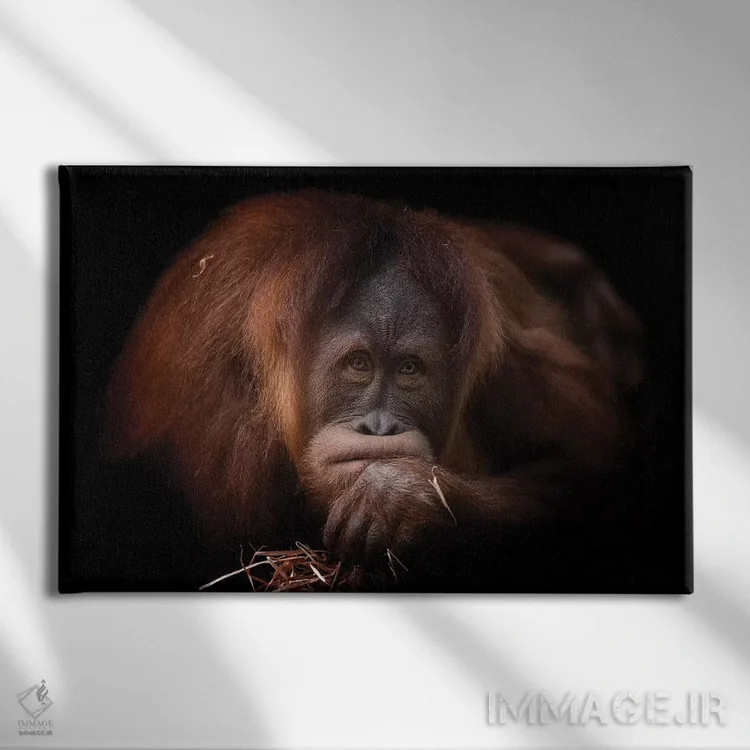 تابلو اخمو اثر دیوید وولَن - نمای روبهرو روی دیوار