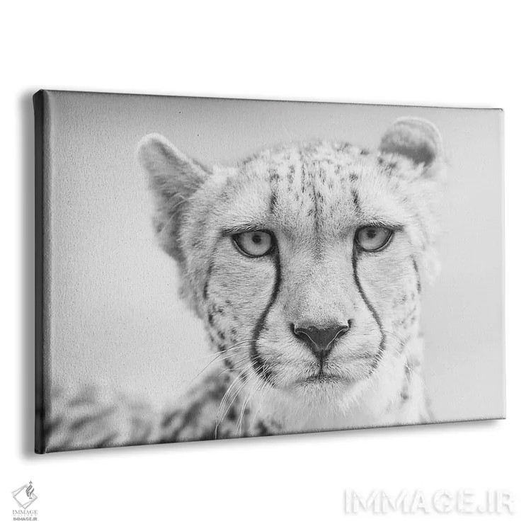 تابلو کولیندا (نام حیوان یا فرد) اثر دیوید وولَن - نمای پرسپکتیو محصول