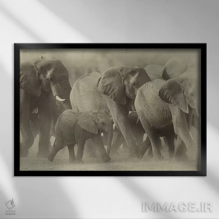 تابلو خانواده فیلها به رنگ سپیا اثر دیوید وولَن - نمای قابدار مشکی