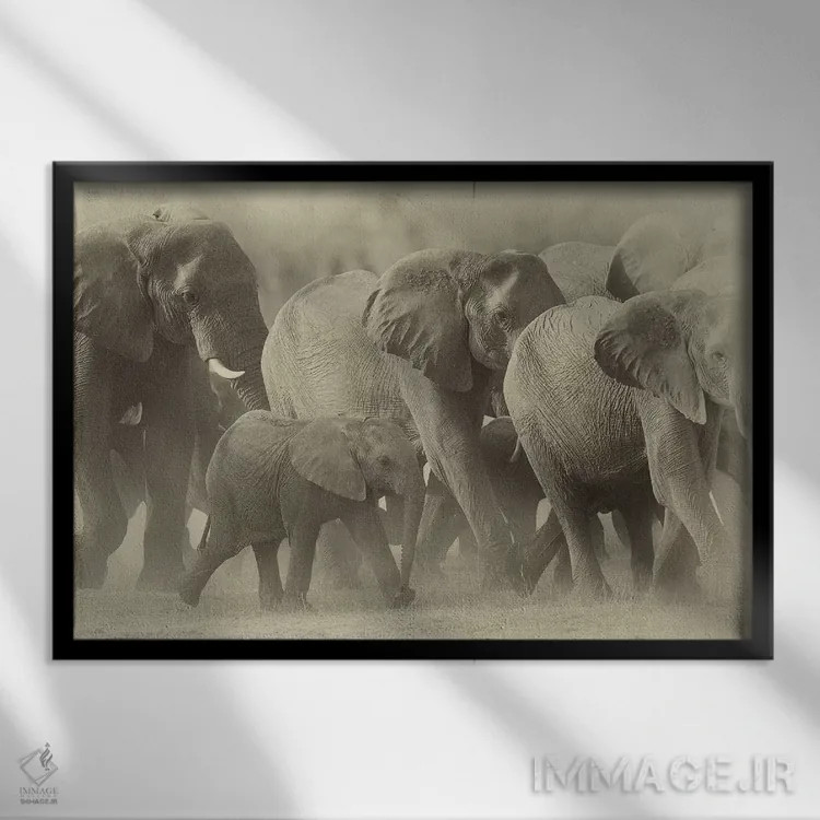 تابلو خانواده فیلها به رنگ سپیا اثر دیوید وولَن - نمای قابدار مشکی