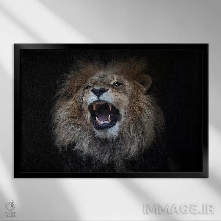 تابلو شیر آفریقایی اثر دیوید وولَن - نمای قابدار مشکی