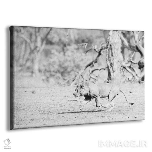 تابلو زمان ناهار اثر دیوید وولَن - نمای پرسپکتیو محصول