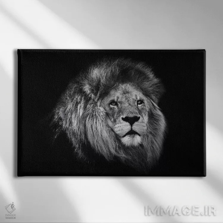 تابلو شیر آفریقایی در سیاه و سفید اثر دیوید وولَن - نمای روبهرو روی دیوار