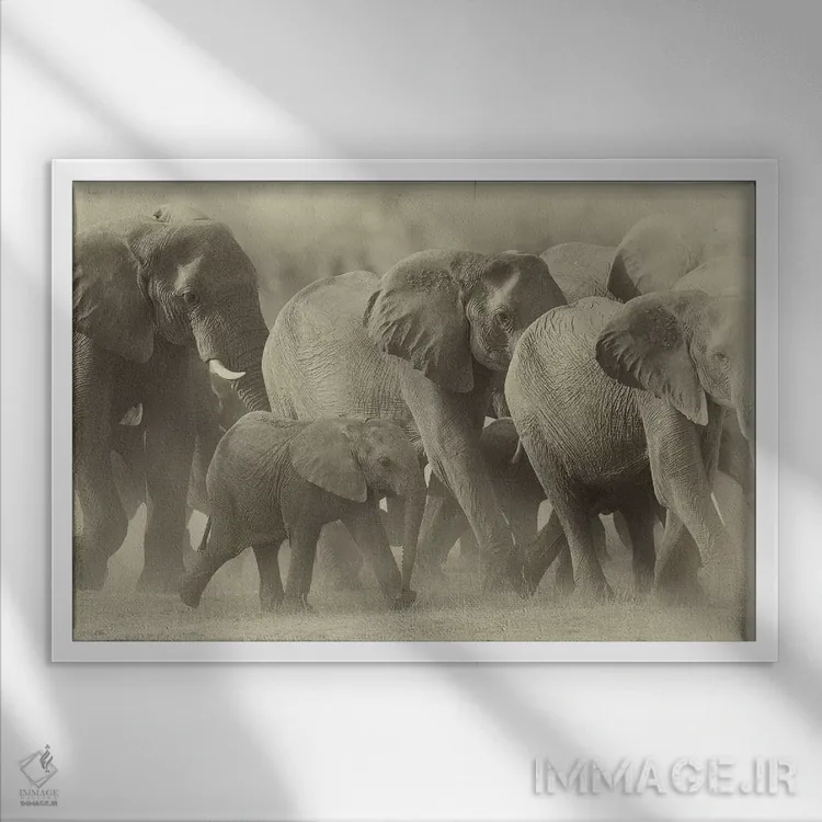 تابلو خانواده فیلها به رنگ سپیا اثر دیوید وولَن - نمای قابدار سفید