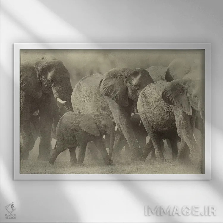 تابلو خانواده فیلها به رنگ سپیا اثر دیوید وولَن - نمای قابدار سفید