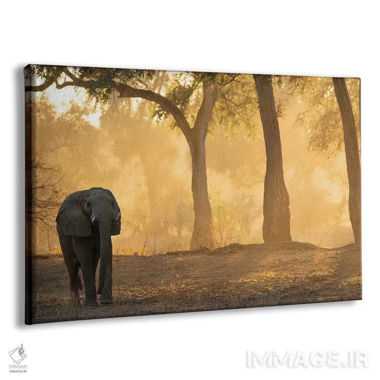 تابلو فیل مانا پولز (پارک ملی زیمبابوه) اثر دیوید وولَن - نمای پرسپکتیو محصول
