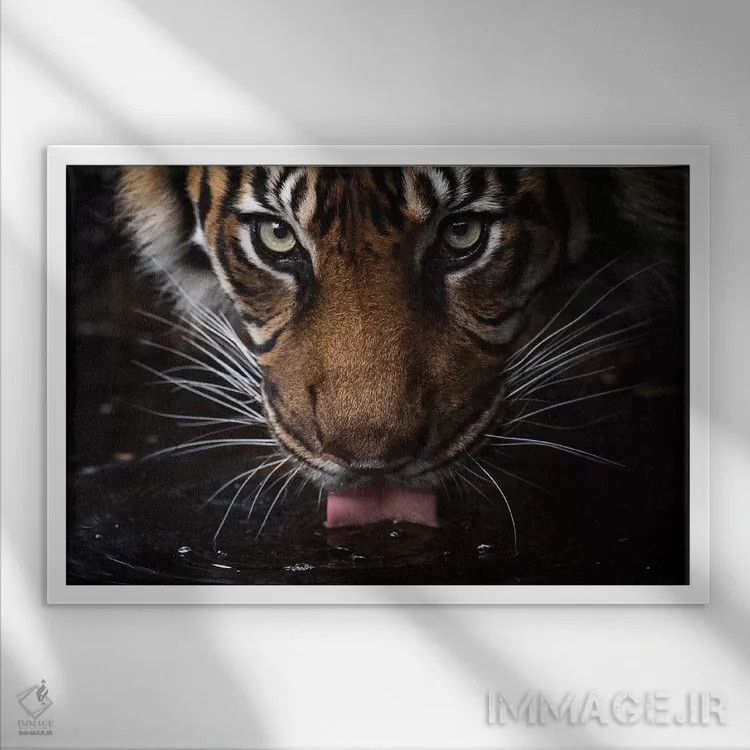 تابلو نوشیدن اثر دیوید وولَن - نمای قابدار سفید