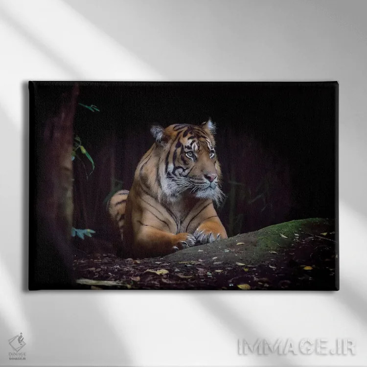 تابلو هوتان 1 (واژه اندونزیایی به معنی "جنگل"؛ یا نام خاص) اثر دیوید وولَن - نمای روبهرو روی دیوار