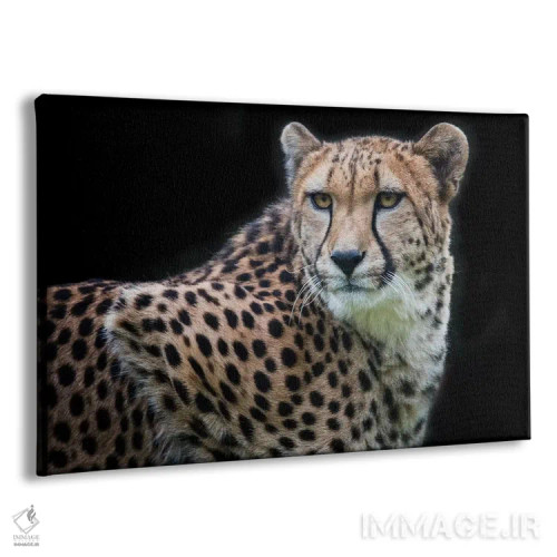 تابلو کولیندا رنگی اثر دیوید وولَن - نمای پرسپکتیو محصول