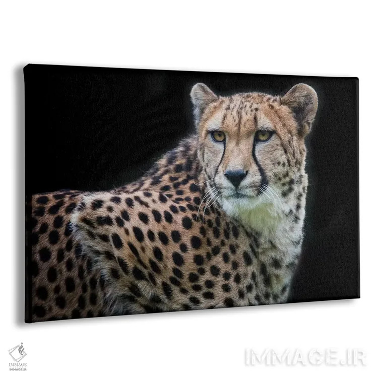 تابلو کولیندا رنگی اثر دیوید وولَن - نمای پرسپکتیو محصول