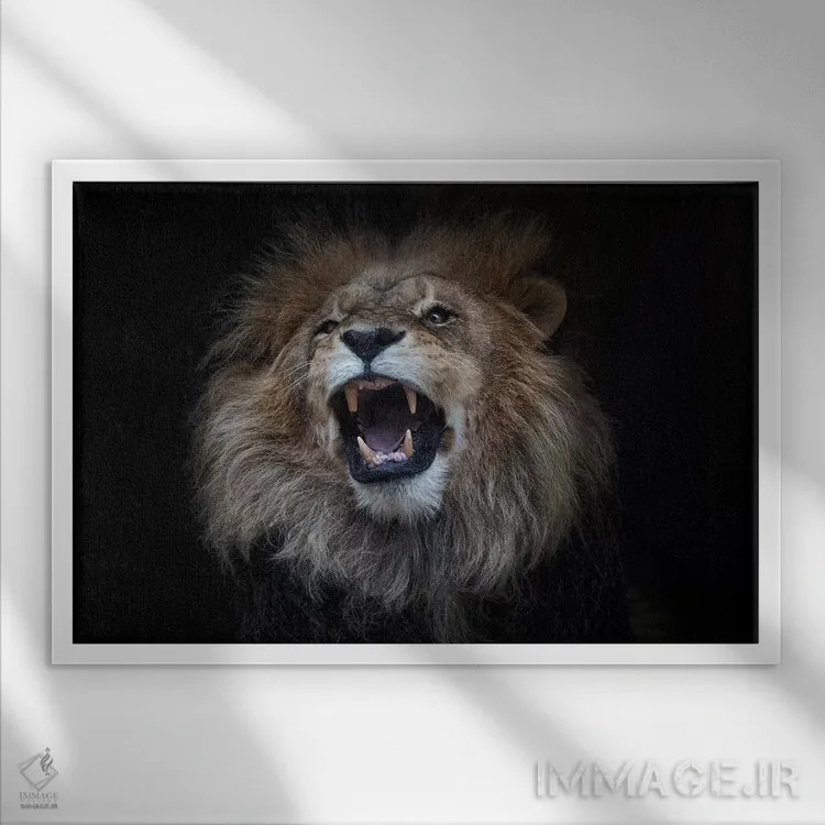 تابلو شیر آفریقایی اثر دیوید وولَن - نمای قابدار سفید