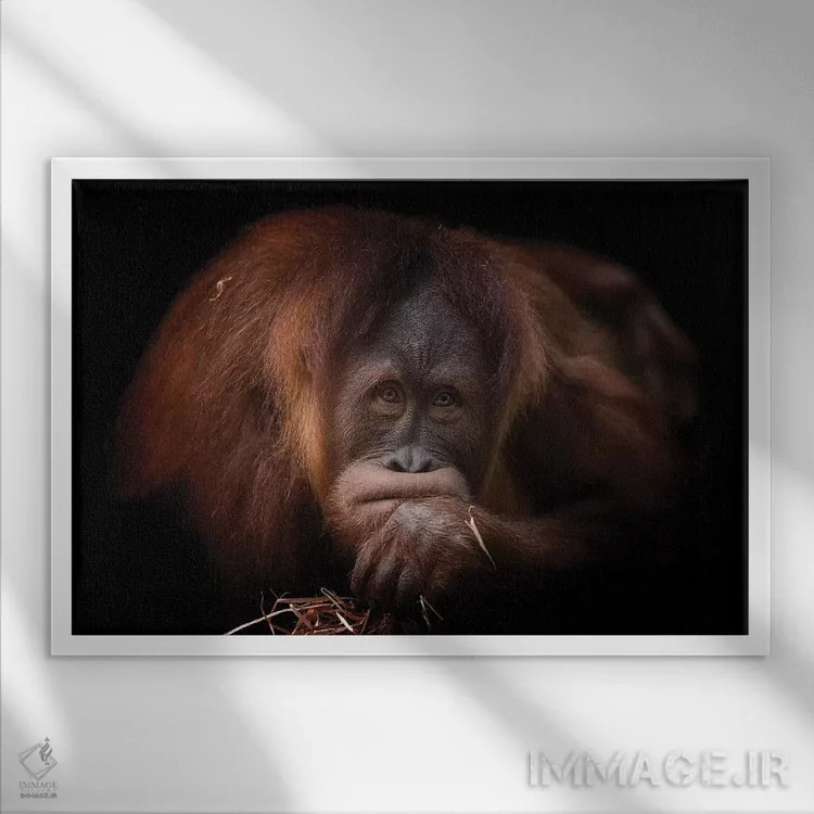 تابلو اخمو اثر دیوید وولَن - نمای قابدار سفید