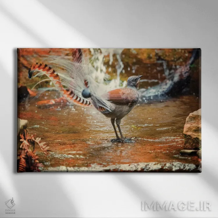 تابلو لیربرد (پرنده لیرا) اثر دیوید وولَن - نمای روبهرو روی دیوار